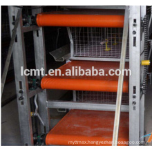 Automatic poultry farms equipment for broiler chicken